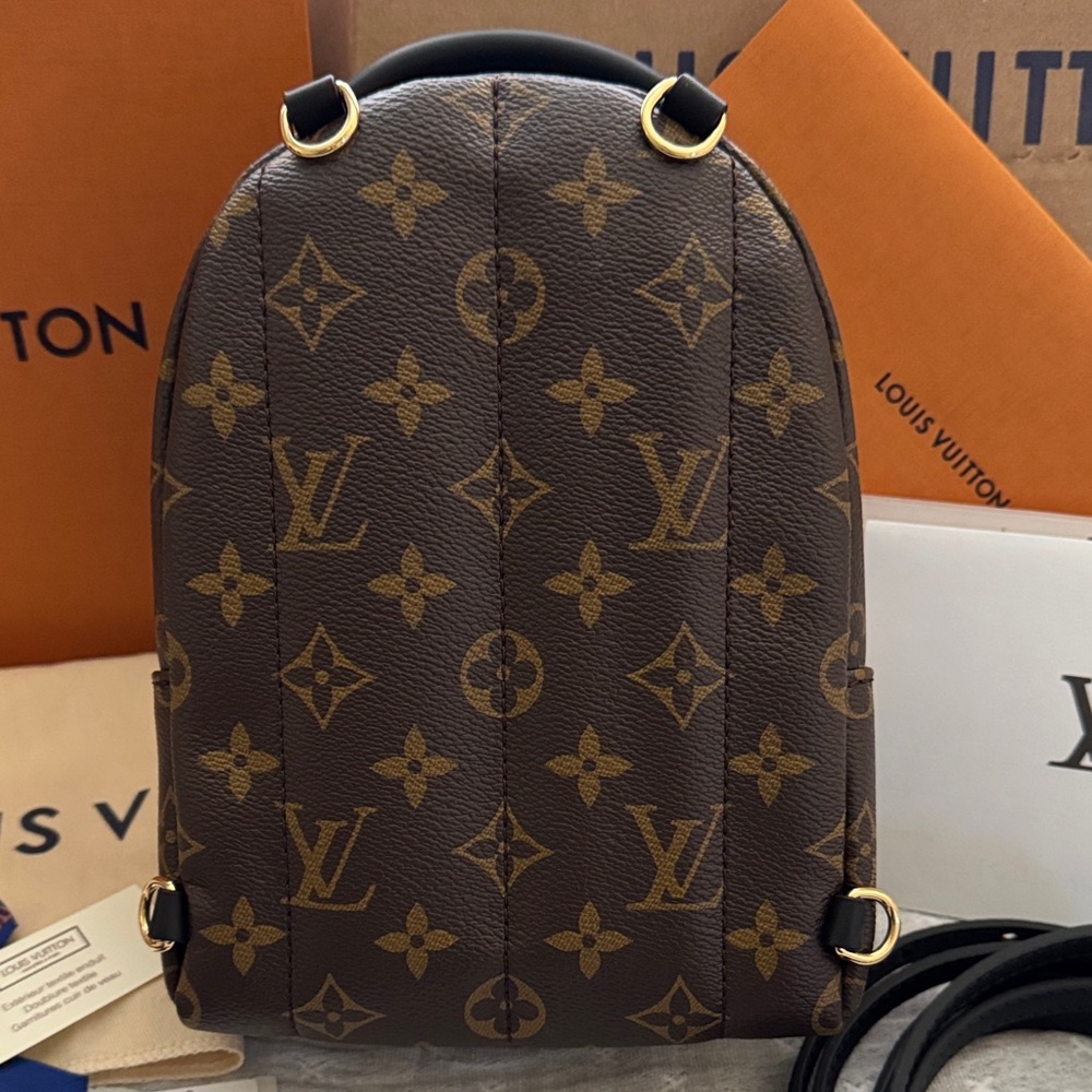 Louis Vuitton Palm Springs Mini Backpack - Picture 4 of 10